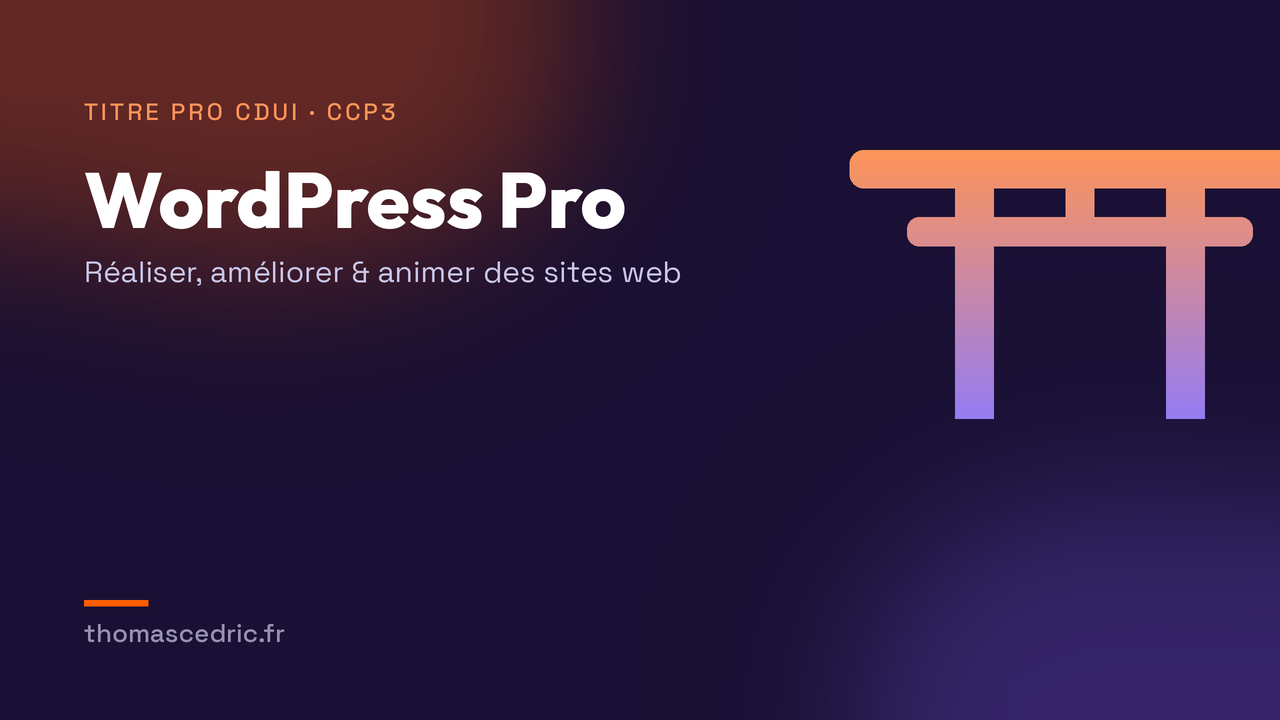 WordPress Pro: Réaliser, améliorer et animer des sites web (CCP3)